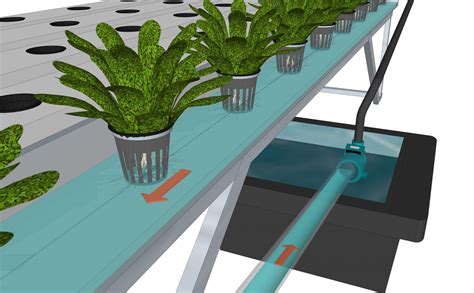 chanel nft|NFT channels for hydroponics.